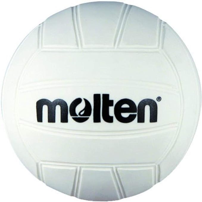 10 Best Volleyballs in 2024 (Recommended by Experts)