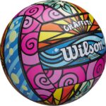 WILSON Outdoor Recreational Volleyball